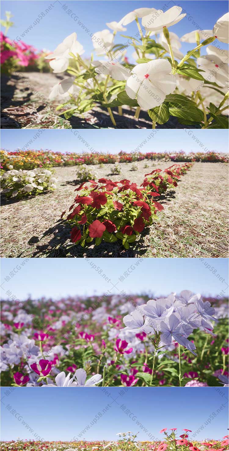 160+个Unreal Engine独特的游戏就绪鲜花花卉植物网格UE素材