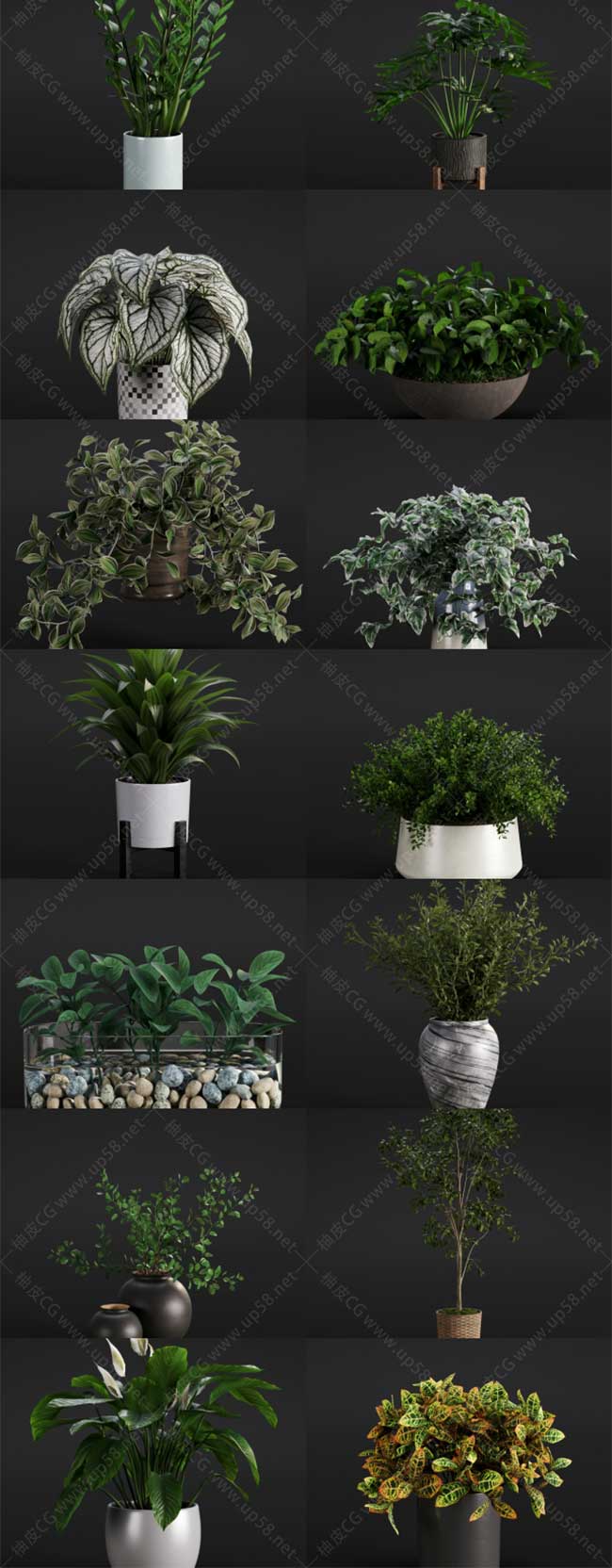 20个3Dsmax/Vry/Corona高质量可视化室内植物3D模型素材