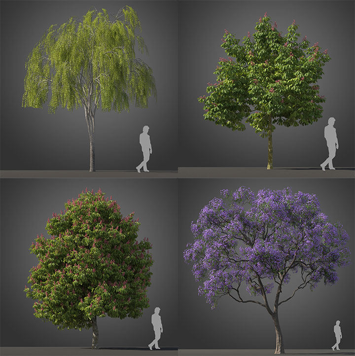 3dsmax VRay亚热带树木植物高品质3D模型