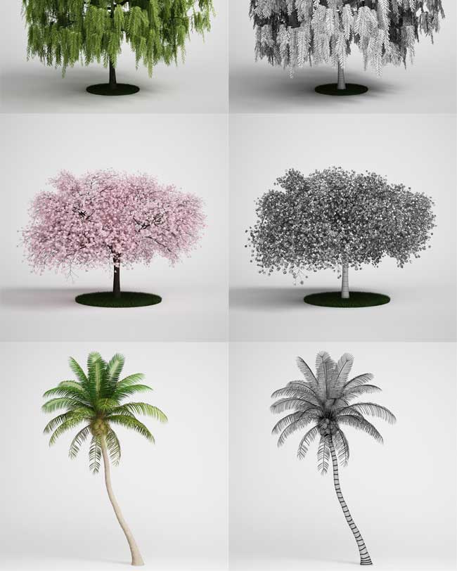 3DSMAX / C4D / VRay花园树木植物精细3D模型集