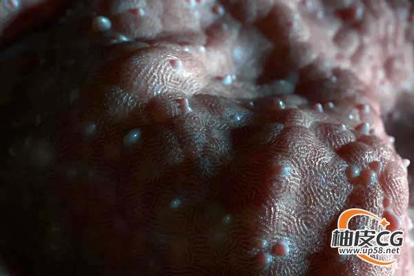 21种高品质外星人蛇皮章鱼生物皮肤纹理资源包