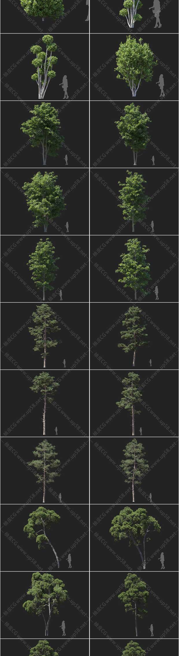 3Dsmax / VRay / Corona园林设计精细无花果柠檬月桂栎树植物3D模型