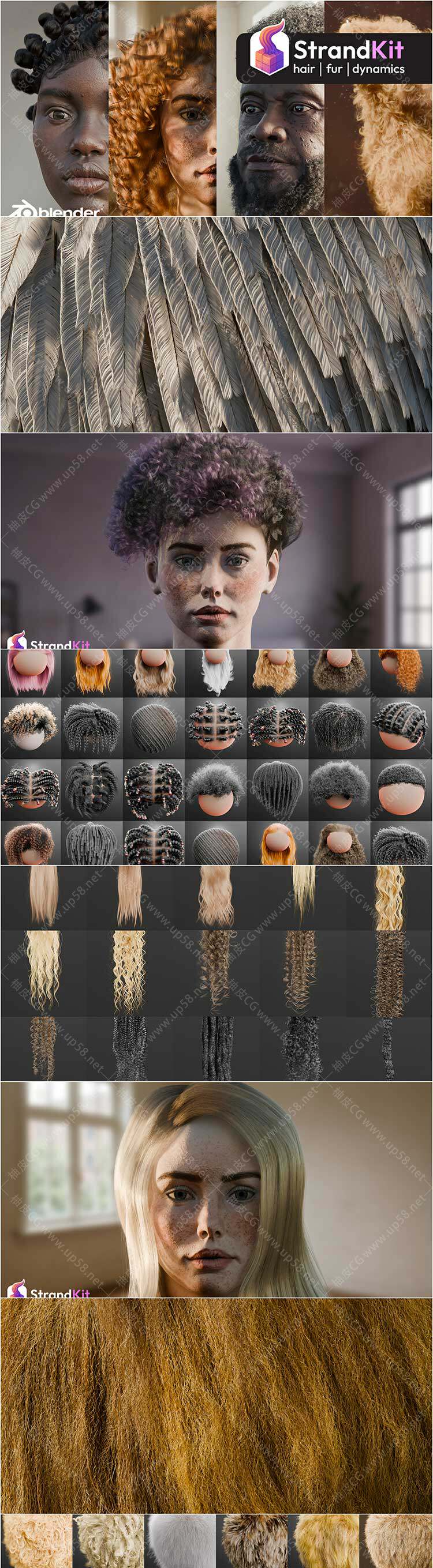 Blender专业创建逼真人类头发动物毛发效果及动力学模拟模块化资产库完整版(中文字幕教程)