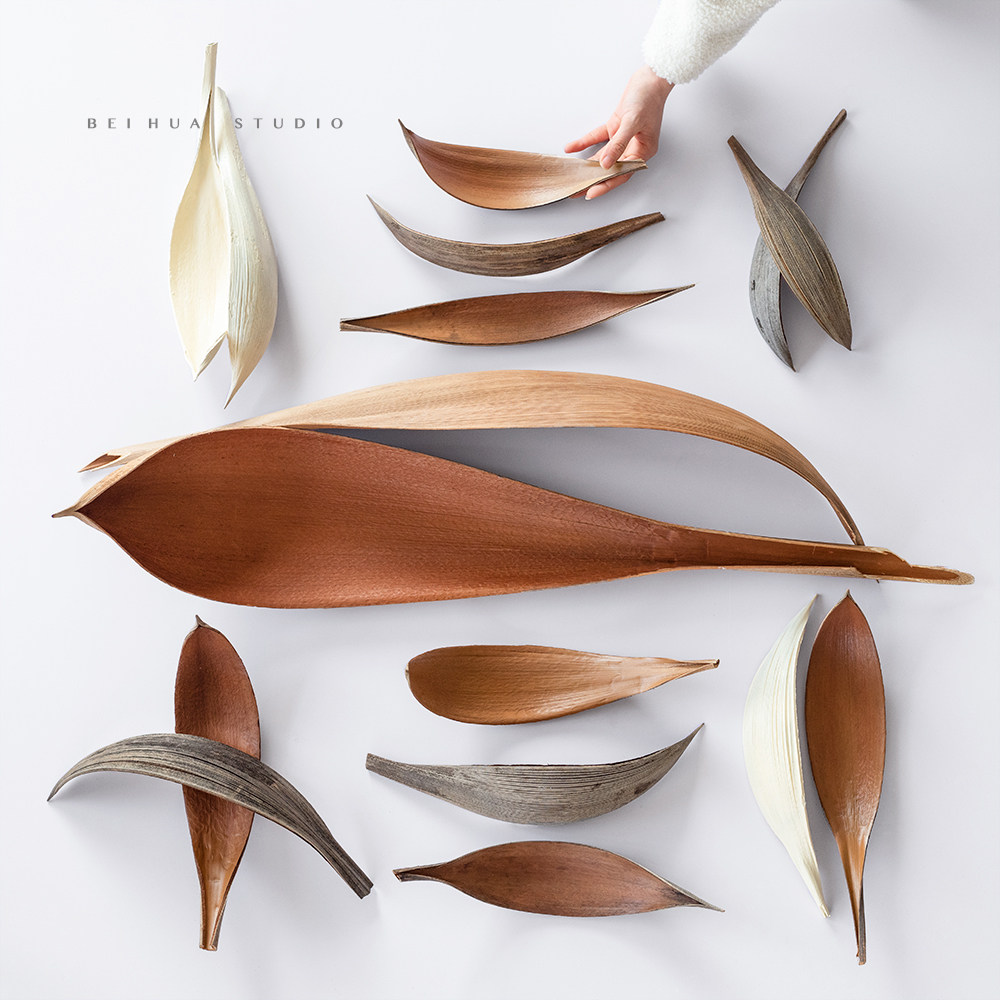 Natural Plant Leaf Tray Table Hem Brazil Imports Cocoa Leaf Dry Flower-Like board Room Studio Accessories-Taobao