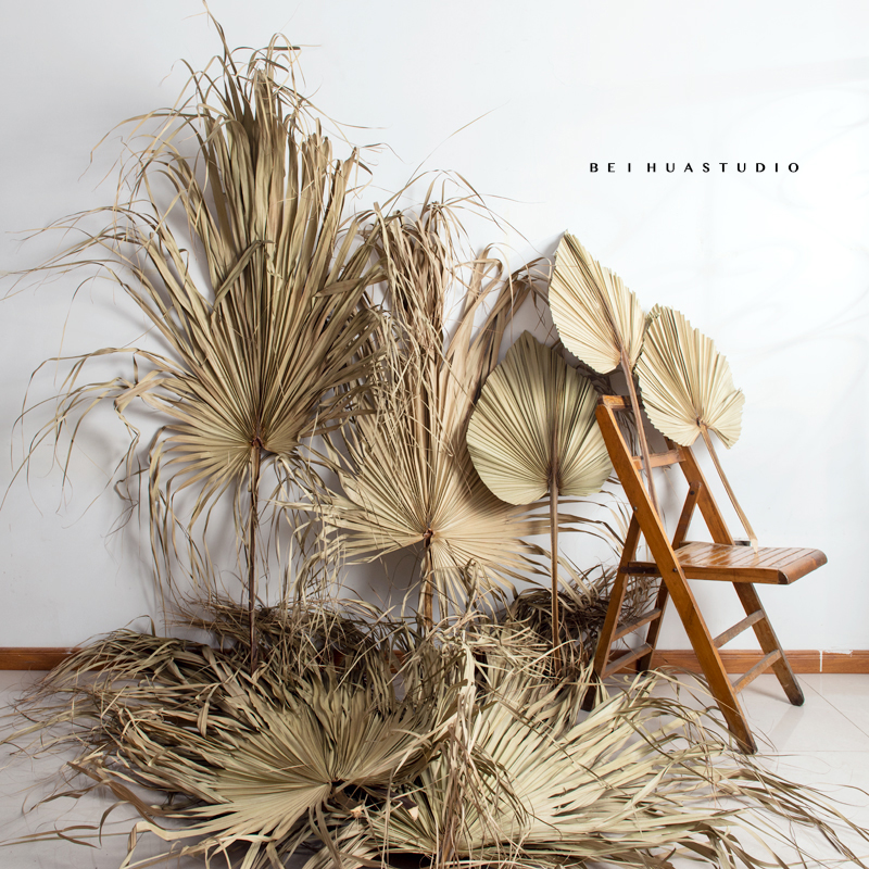 新鲜芭蕉叶：传统与创新交织下的神奇食材