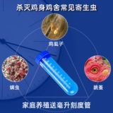 Лекарство от курицы в нице Удаляет домашнюю птицу, куриные вши, чистую птицу, куриные вши, куриные лечения рычатки для лечения курицы пестициды пестициды, куриные блох