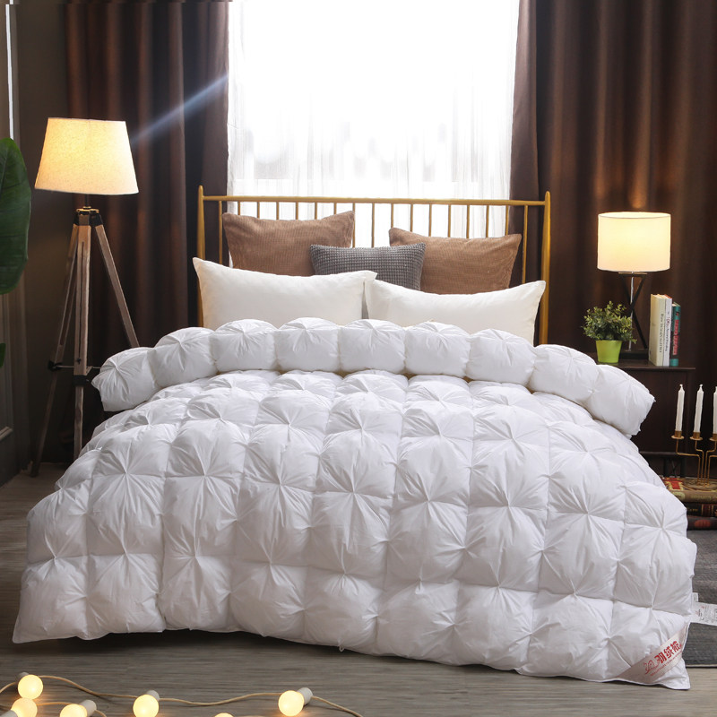 Five-star hotel thickened duvet 95 white goose down warm winter double goose down spring and autumn quilt core duck down winter quilt