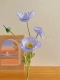 Yu Meiren Ice Blue