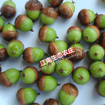 Wild seed powder 2kg seed powder ACORN powder ACORN powder made bean curd starch mountain farm specialty