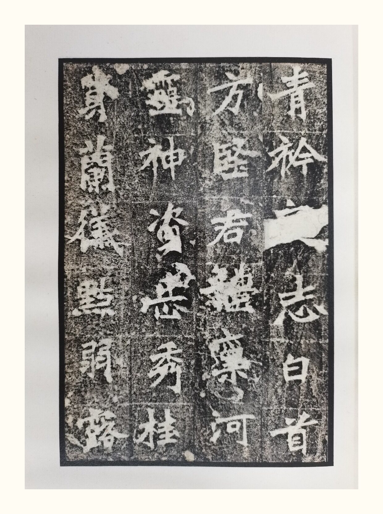 Каллиграфия, печать резки (новый) 明拓张猛龙碑 启功旧藏明末蝉翼精拓本 文物出版社