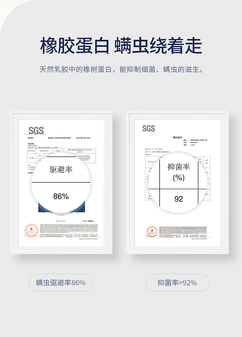 央视推荐品牌 佳奥 泰国乳胶枕 大颗粒按摩枕 图5