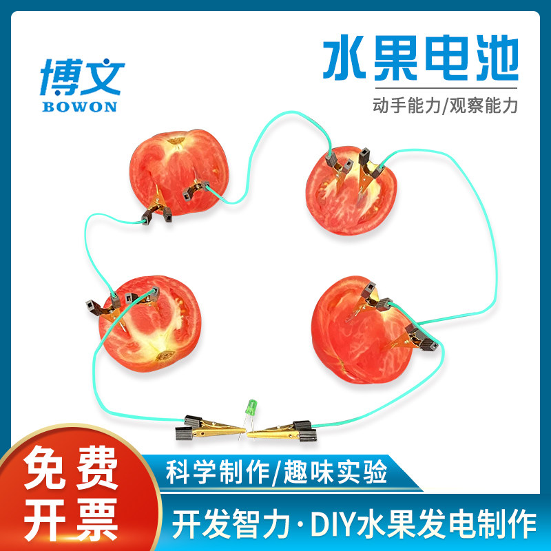 自制水果电池儿童diy实验材料包可乐发电源电池铜片锌片电极组装作led灯材料包探索学生物理发电小学科学实验