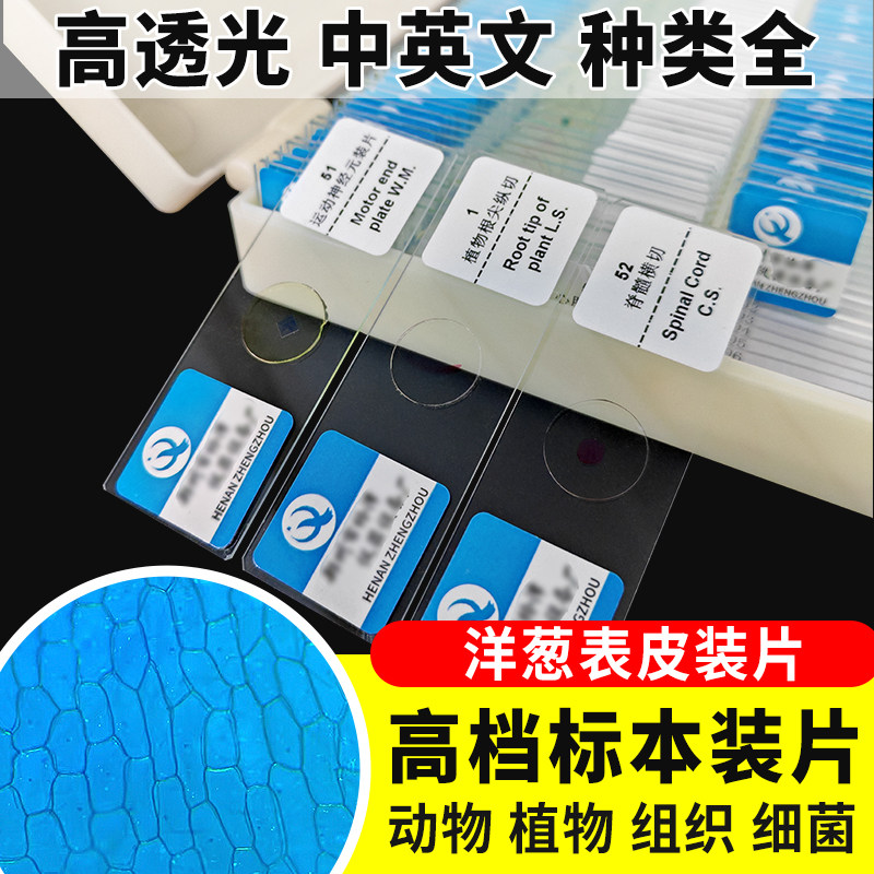 洋葱鳞片叶表皮装片生物切片涂片小学初中高中生物科学实验切片显微镜观察玻片装片