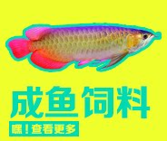 Неизвестно -1_03.png