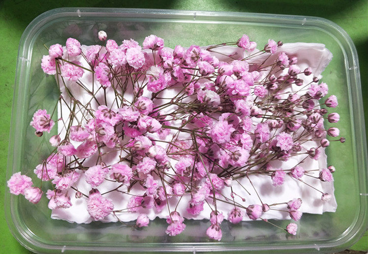 Swing disc adornment full of stars pink full of stars 20g boxes-Taobao