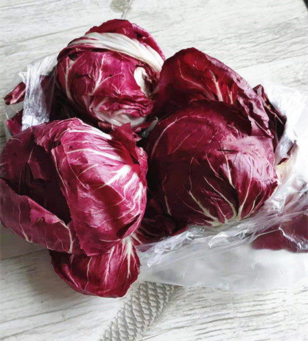 Fresh Chicory Fresh Chicory Western Cuisine 1kg 500g