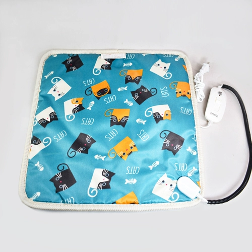 Рука молодой птицы Rabst Bird Parrot предшнее -птица термопроверка