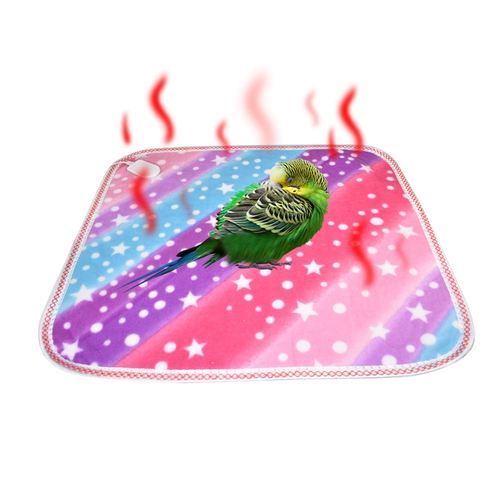 Рука молодой птицы Rabst Bird Parrot предшнее -птица термопроверка