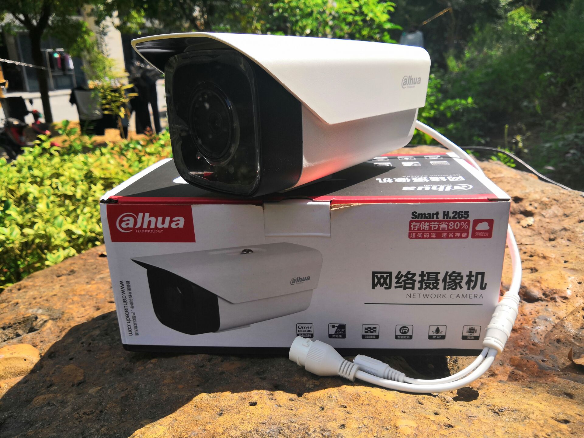 Dahua 3 million pixel infrared with POE Internet gun style camera DH-IPC-X13-I1 spot