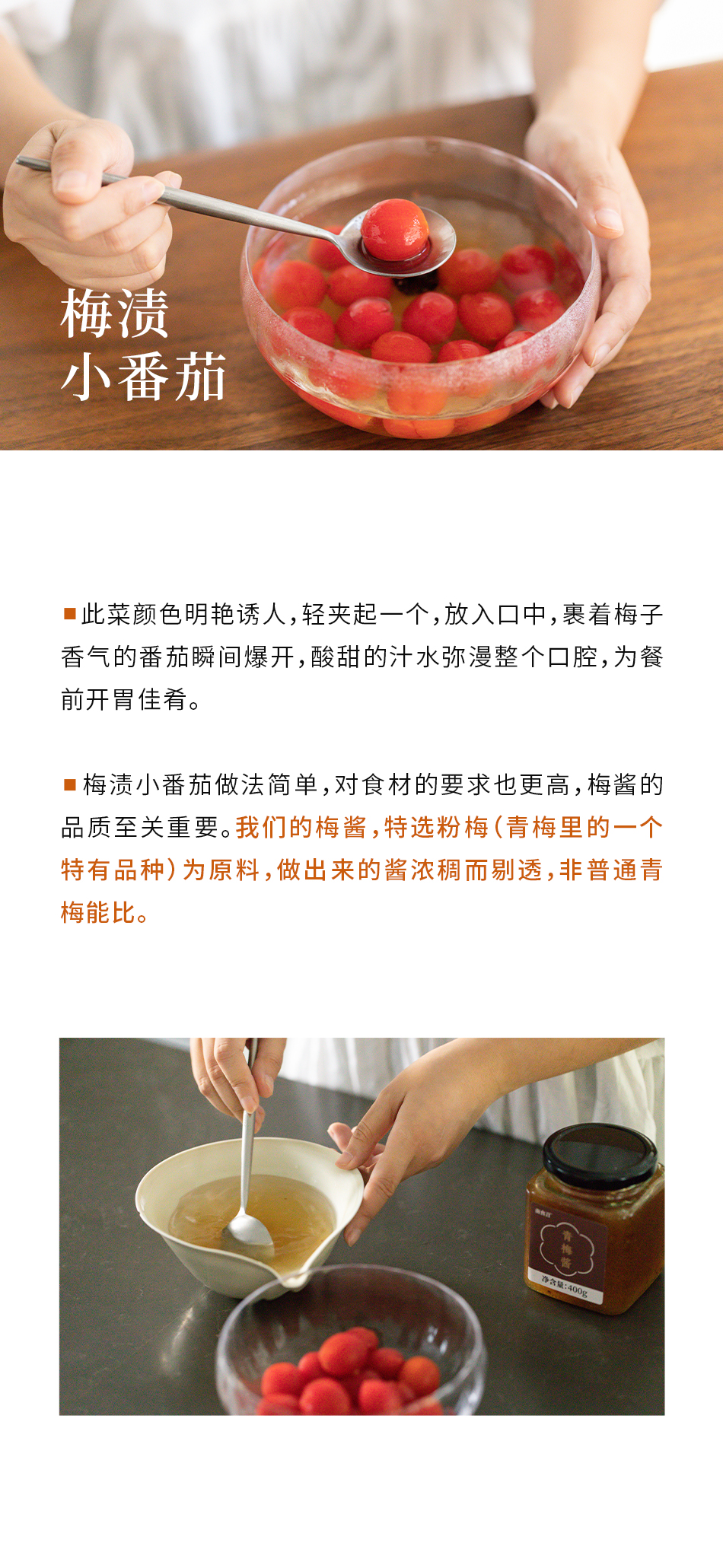 中国南食召【青梅酱 】酸甜带咸·纯梅熬制 梅子酸梅酱 烧鹅烤鸭叉烧蘸酱  400克