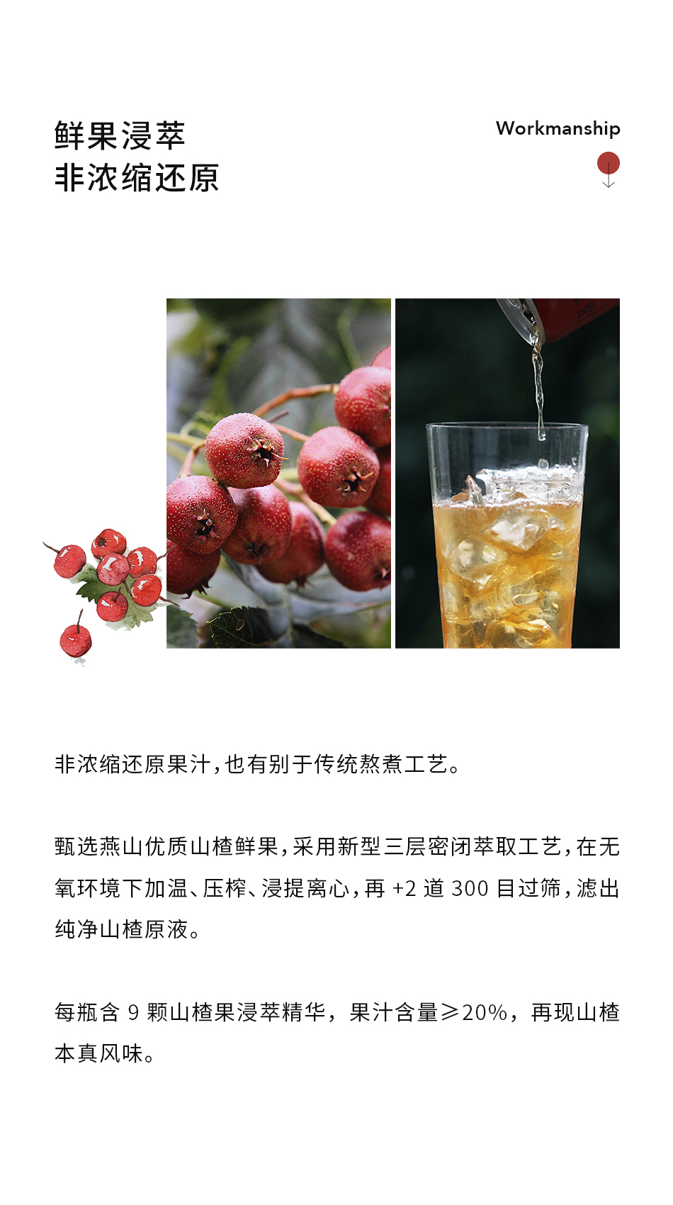 南食召 【基本山楂露】氮氣果飲 清爽鮮果汁飲料氣泡水 310毫升裝