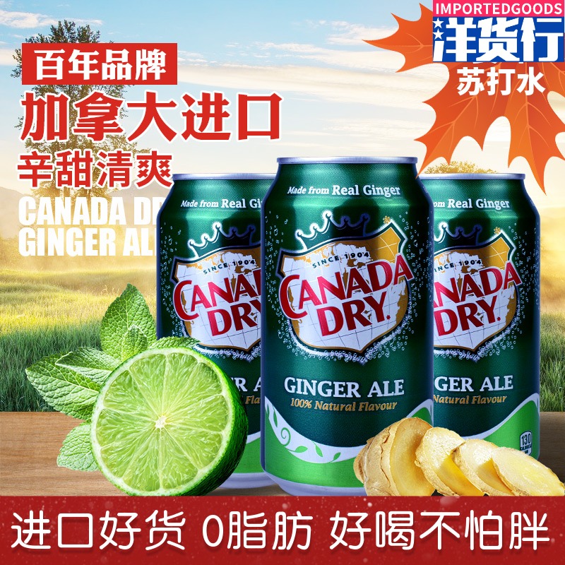 Canada Canada dry Ginger Ale Ginger Sauce Ginger Dried Ginger Soda Drink