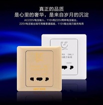 Melt 146 Wall toilet razor hotel electric 110V-220V scraper socket