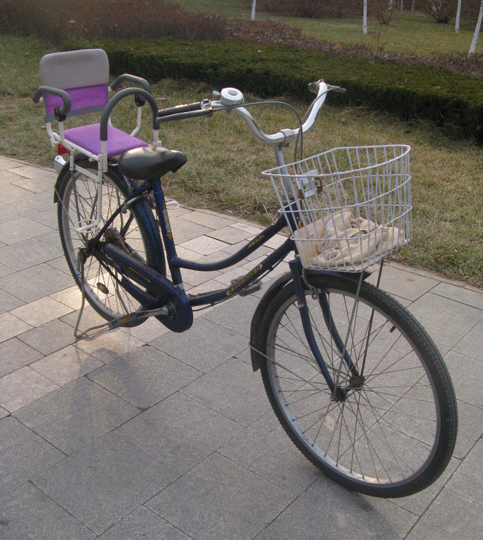 siège enfants pour vélo - Ref 2420258 Image 26