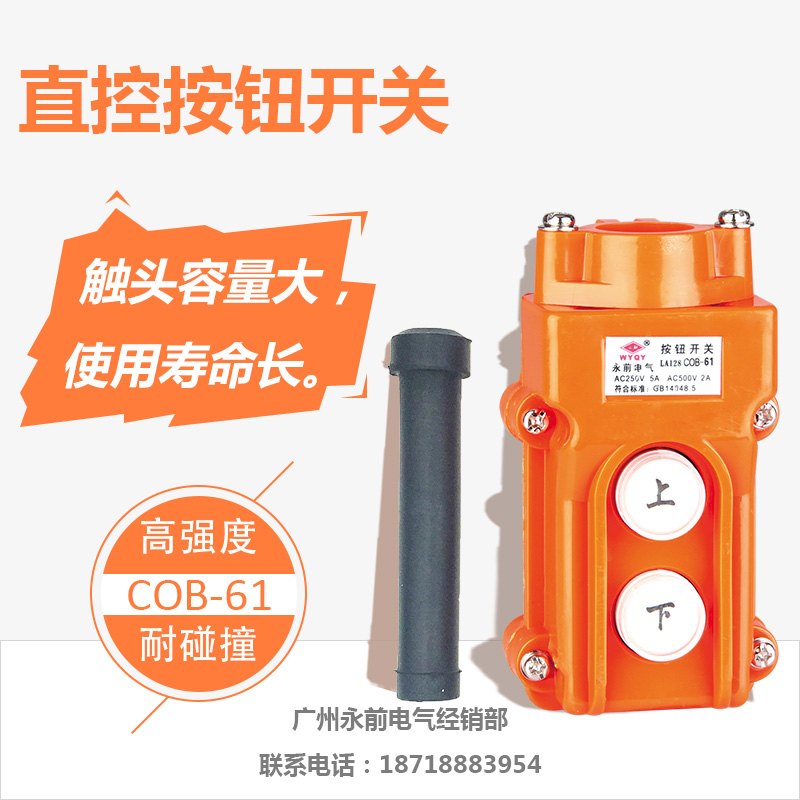 Yongqian Electric Special Class A Crane PushButton Switch COB(LA128)-61 Up and Down Two Direction Control 5A 250V