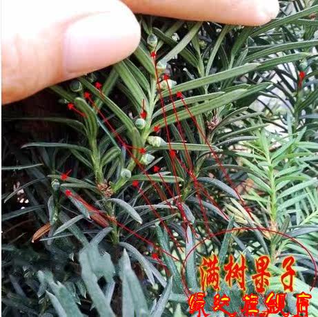 �̴������Ǵ����辰12��