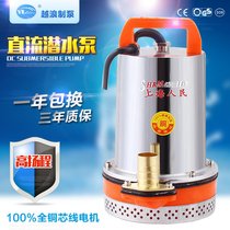 Yuequan Agricultural DC Submersible Pump 12V24V48V60V High Head Electric Vehicle Household Large Flow Battery Water Pump