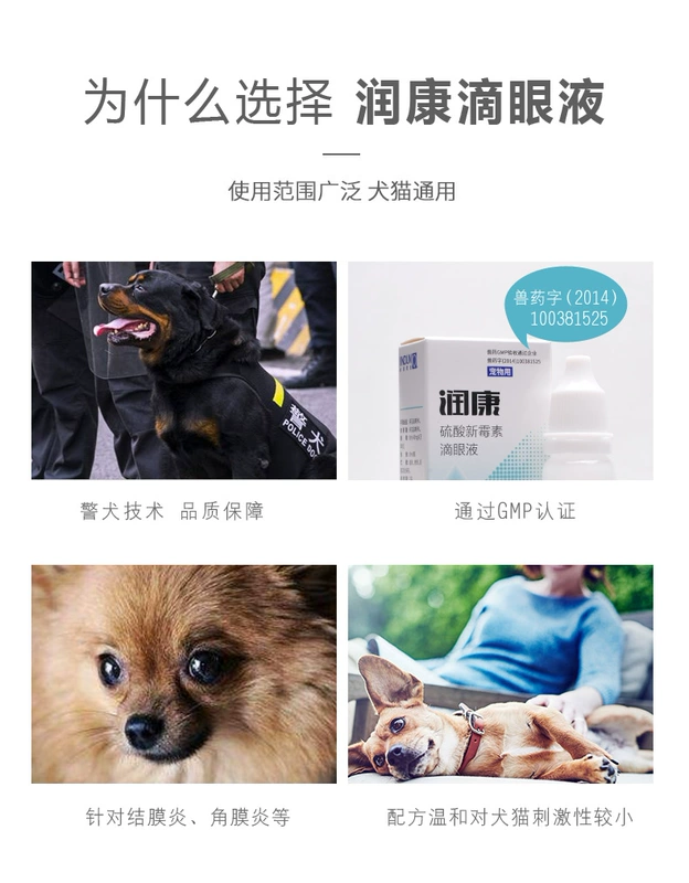 Golden Shield Runkang Dog Eyes Potion Cat Eye Viêm viêm Potion Cat Dog Đi đến nước mắt Marks Thuốc nhỏ mắt - Thuốc nhỏ mắt nhỏ mắt