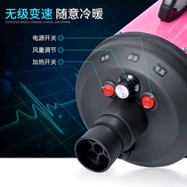 Pet blower cat special dog hair dryer high power low noise dog Bath home drying hair blowing artifact