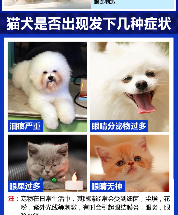 Golden Shield dog giọt thuốc thú cưng làm sạch mắt mèo nhỏ hơn gấu nước mắt để loại bỏ thuốc rửa mắt sạch - Thuốc nhỏ mắt thuốc nhỏ mắt cool