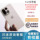 OnePlus / Oneplus Oneplus 15 новый оригинальный мобильный телефон пятого поколения Snapdragon 8 с экстремальной производительностью для игр с высоким разрешением mini 0