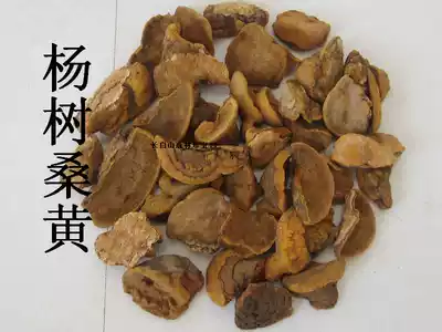 Changbai Mountain wild Poplar Mulberry Mulberry spp. Free chop powder