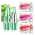 Authentic Gemen Aloe Vera Color Lipstick Son môi Lasting Moisturising Moisturising Hydrating Anti-crack Non-mark Non-stick Cup - Son môi merzy vỏ xanh Son môi