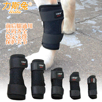 Pet Cat Pooch Rear Leg Inability Joint Protection Fracture Aged Dog Protective Leg Stent Jacket Short Leg Kirkefel