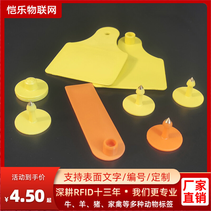 Kaile UHF pig ear tag RFID animal electronic tag radio frequency pig ear tag 915M pig ear tag UHF