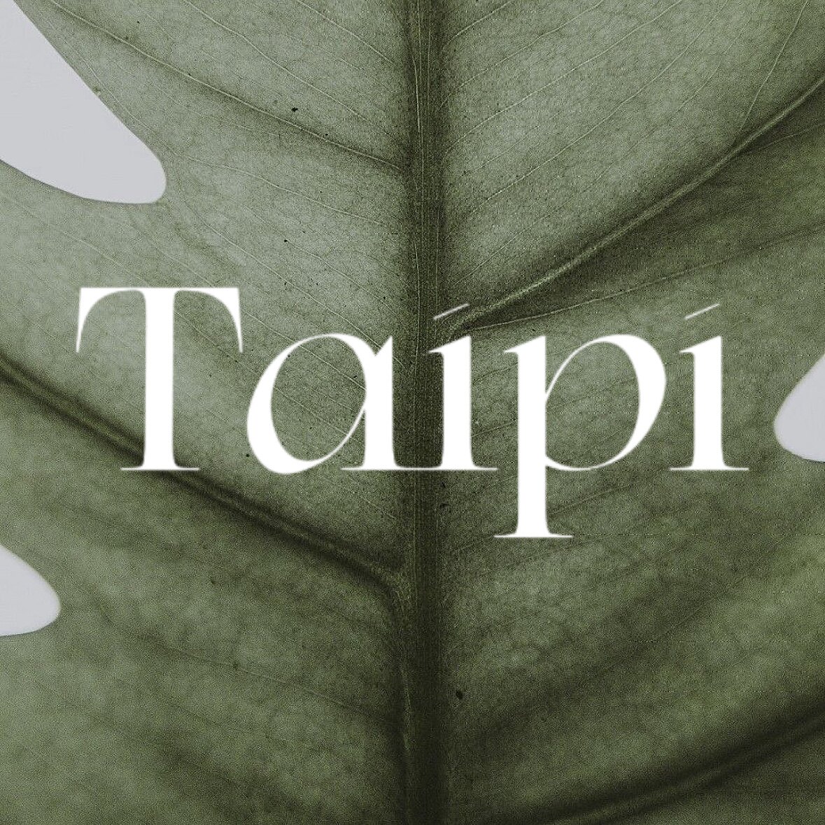 苔皮Taipi