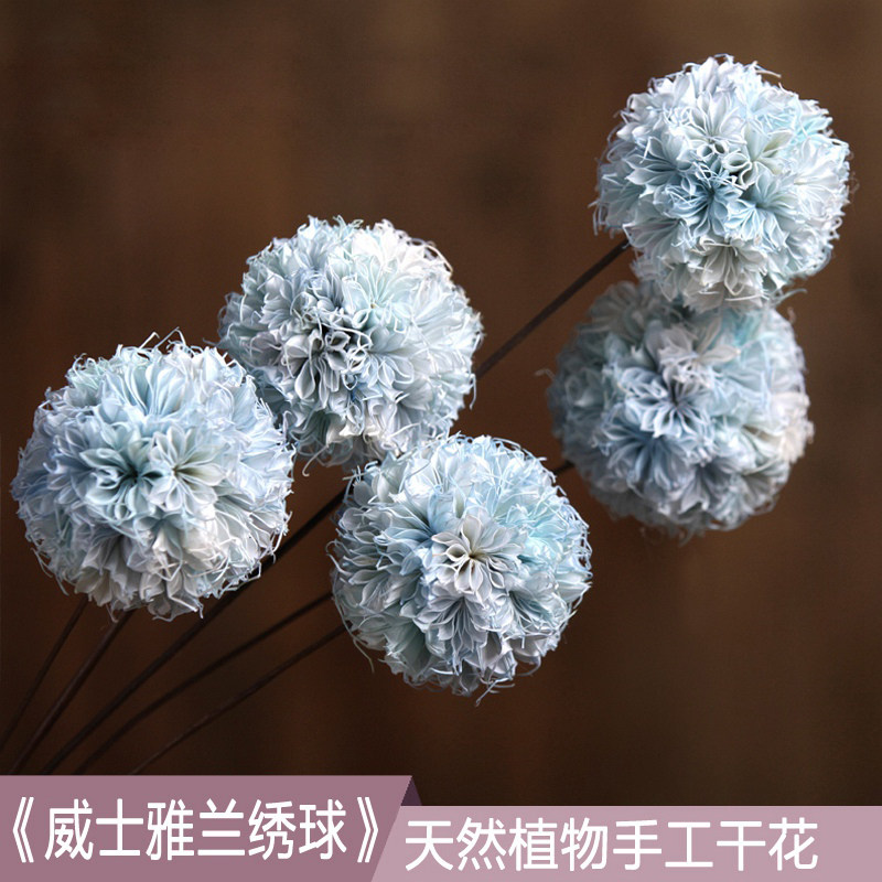 ŵ����������ɻ��滨