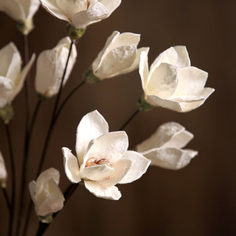 ŵ���������������滨yldz