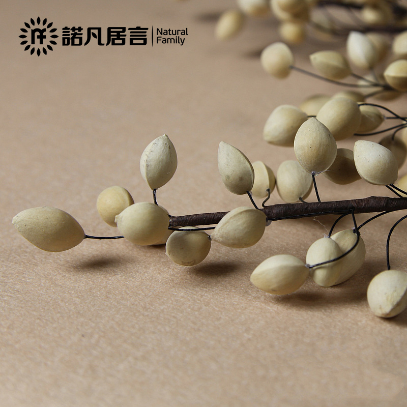 ŵ�����Դ�����ӣ��װ�μٻ�