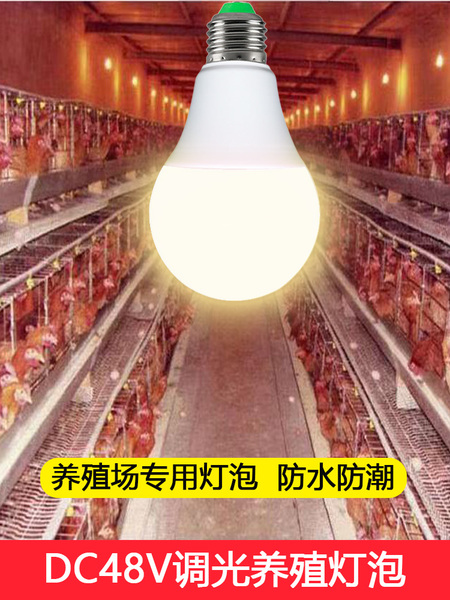 led低压灯泡DC48v伏直流可调光220v灯泡鸡舍家禽养殖螺口照明灯