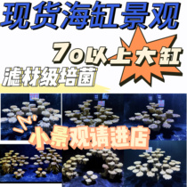 Handsome Reef rock ceramic artificial stone dead stone Non-living stone Sea-cylinder building View free Algae High Bacteria Spot Seawater Landscape