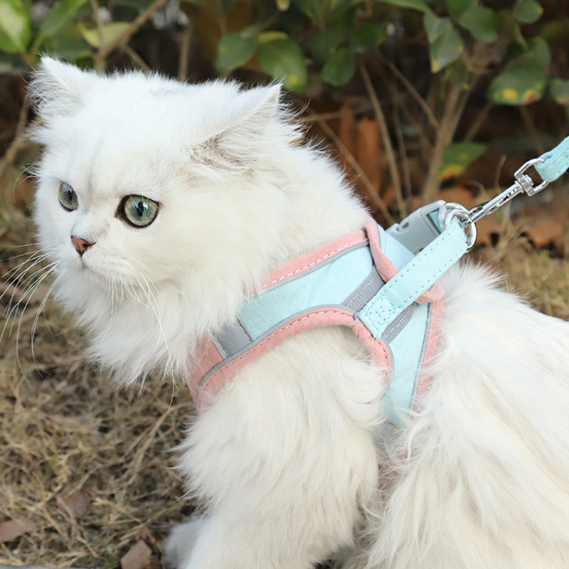 Pet Kitty Traction Rope Vest-Type Chest-Holding Baby Bag Out For Special Anti-Escape And Crash-Color Cat Rope Bolted Cat Chain Sub