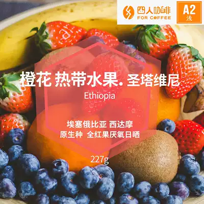 Floral honeydew melon four people Ethiopia Santa Tavigny 52 hours anaerobic sun coffee beans 227g