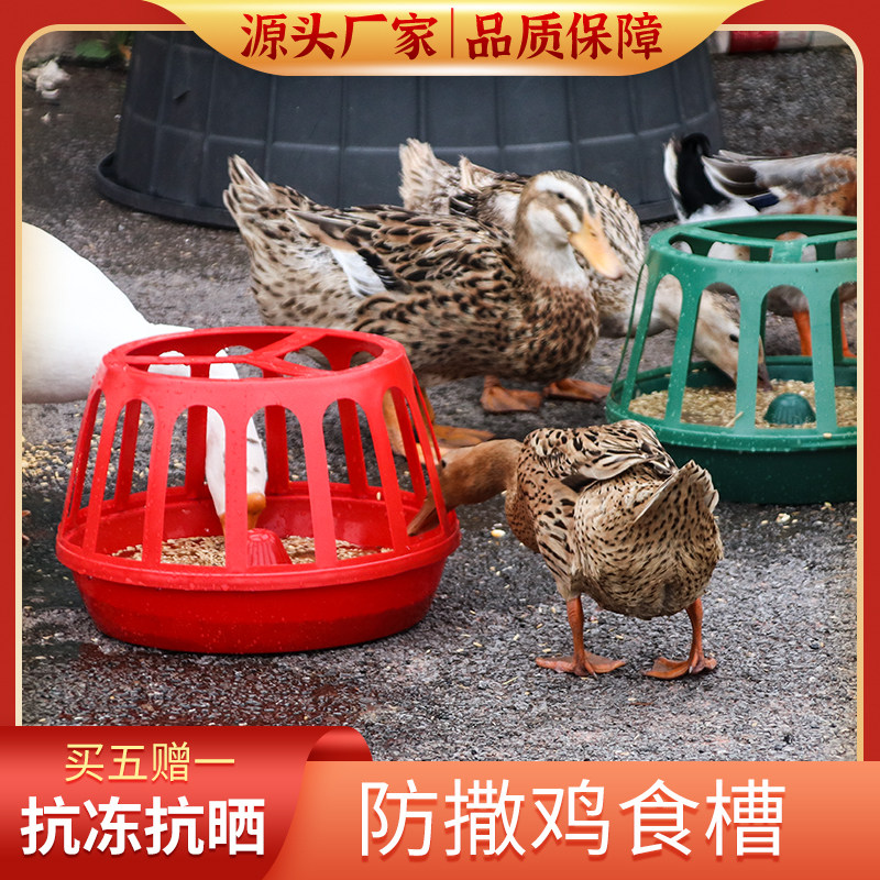 Chicken Eating Trough Round Raised Chicken Duck Pigeon Quail Feeder Sink Food Barrel Feed Bucket Feed Bucket Anti-Spreader Tank