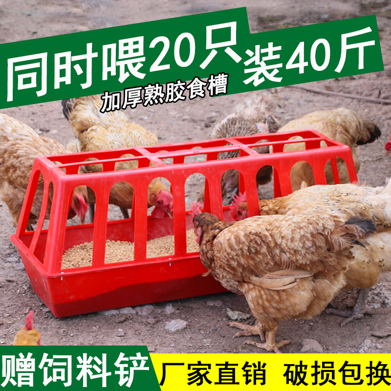 Cover feeding Feeding Trough Automatic Baiting of Chicken Feed Barrel Trough God Instrumental Feeding Device Breeding anti-Large Number of No Running Material