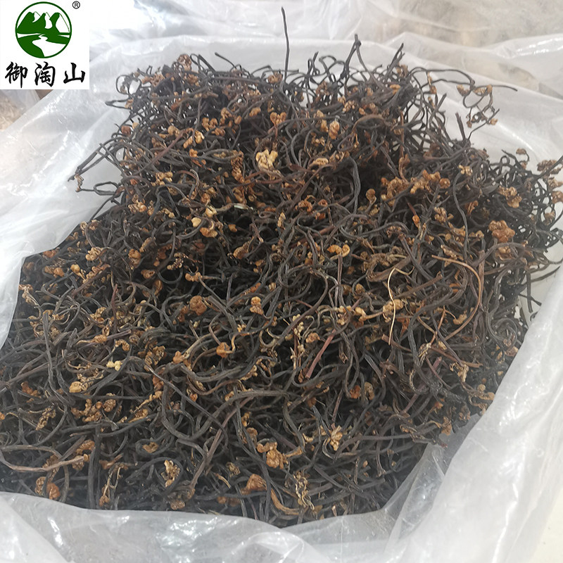 Pure Wild Dry Ferns Farmhouse Farmhouse Homemade Doll Fist Paw Stone Pan Mix Rice ferns Dry 500g Wannantes-Taobao